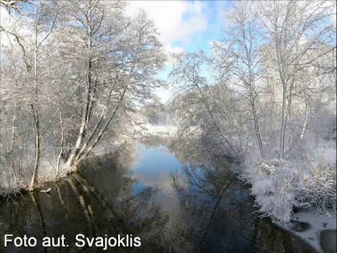 Beatričė Grincevičiūtė – Lithuanian version of Russian song