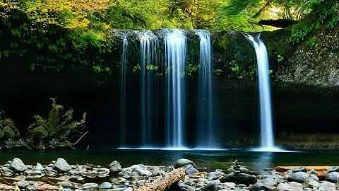 صلاة مكة ( سورة النور الآية 35 - 40 ) surah noor ayaahs 35 - 40