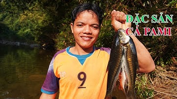 Câu cá suối xuyên đêm