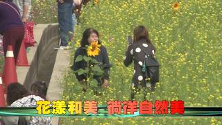 108-01-05  體驗不一樣的花海　花漾和美-金豬吉祥賀新春活動 (台語版)