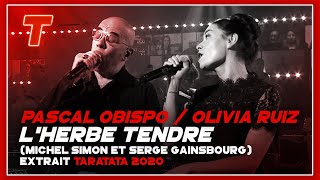 Miniatura de "Pascal Obispo / Olivia Ruiz "L'Herbe Tendre" (Michel Simon & Serge Gainsbourg) (extrait) (2020)"