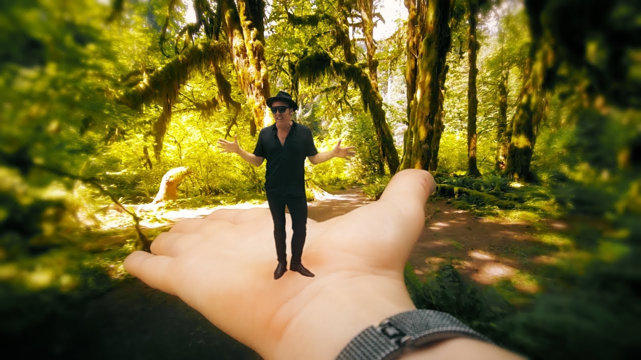 The Order of Good Cheer Kings of the Castle (Official Video) YouTube