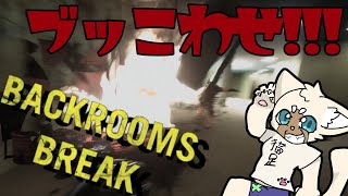 ブッ壊し納め　#BackroomsBreak
