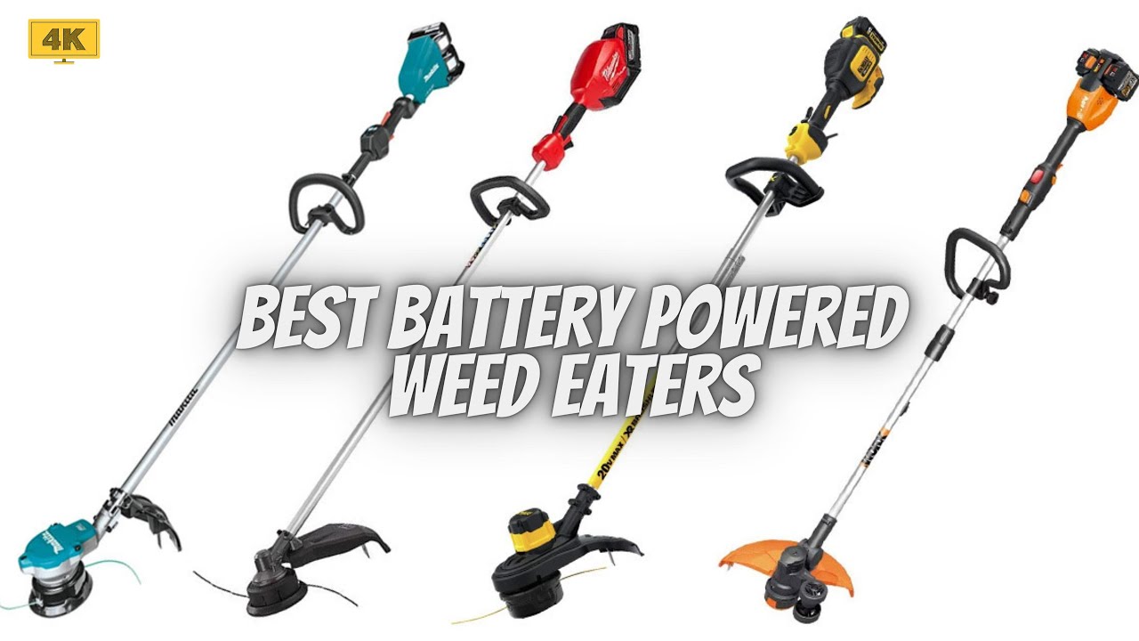 The 10 Best Weed Eaters of 2023