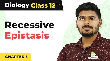 Recessive Epistasis - Principles of Inheritance and Variation | Class 12 (2022-23)