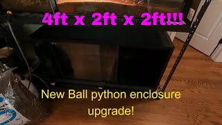 New Ball Python Setup