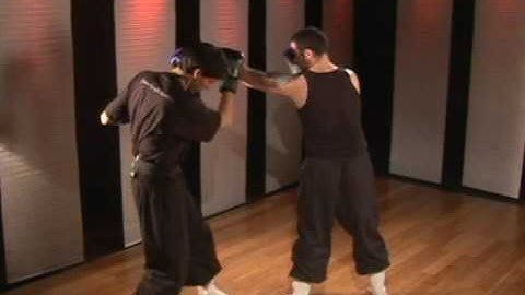 Kung Fu Blocking Techniques: Inside Palm Block & Side Punch