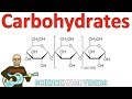 Carbohydrates Uncovered: The Building Blocks of Life
