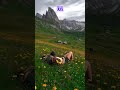 which place brings you relax...?#aesthetic #nature #relax #shorts