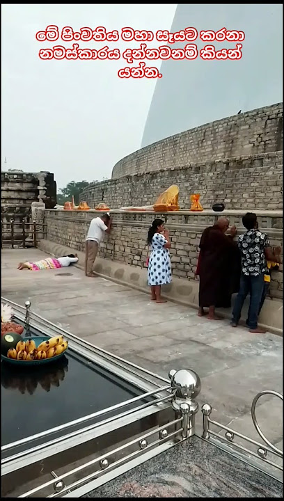 මහා සෑයේ වැතිරීලා නේද?😳😲🙏What is this doing at Ruwanweli Seya?😲🙏#ruwanweliseya #buddha #travel