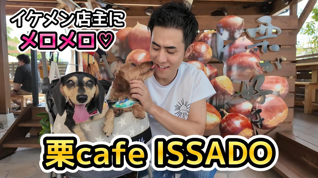 「栗cafe ISSADO」のイケメン3代目店主にメロメロな【ミニチュアダックスフンド】川遊びにちょうどいい付知川