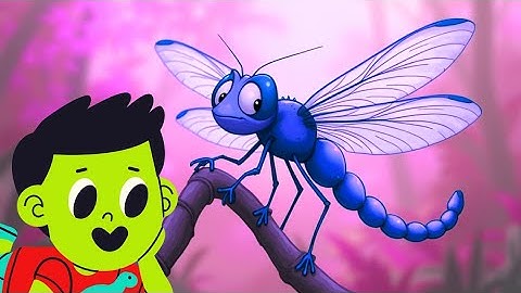 Dragonfly Song | Kid