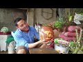 Giao lưu hoa Linh Sam đẹp