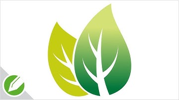 Leaf Drawing with CorelDraw | Flat Vector Style | Drawing | CorelDraw Tutorial