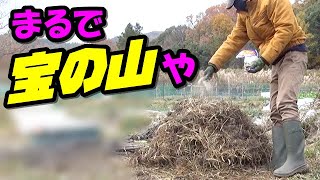 堆肥の作り方 プロ農家のワザ 無料でできる 雑草堆肥 の作り方 山積み編 Youtube