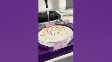 Biogenetic Blooms: Opentrons OT2 "Poppy" paper prototype