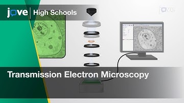 Transmission Electron Microscopy | Cell Bio | Video Textbooks - Preview