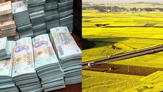 NÓNG 30-6-25: TĂNG GIÁ ĐỀN BÙ ĐẤT NÔNG NGHIÊP BẰNG 65 ĐẾN 70% GIÁ ĐẤT Ở - KHÔNG THỂ CHẬM TRỄ HƠN NỮA