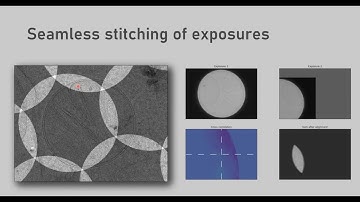 Johannes Elferich, Ph.D. - High-throughput in-situ cryo-EM of hematopoietic differentiation
