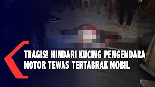 Tragis ! Hindari Kucing Pengendara Motor Tewas Tertabrak Mobil