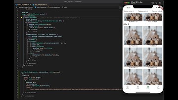 Flutter Custom ListView ScrollView with tabbar