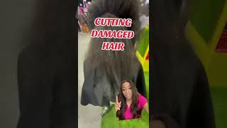 How To Trim Split Ends On Damaged Hair