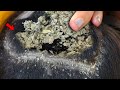 ITCHY DRY SCALP | SCRATCHING DANDRUFF # 1232