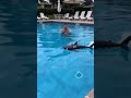 Remote Control Shark #shark #toys #remotecontrol