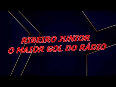 Com 2 jogadores a menos e golaço de Dudu, Botafogo vence o Velo Clube -  Botafogo Futebol SA