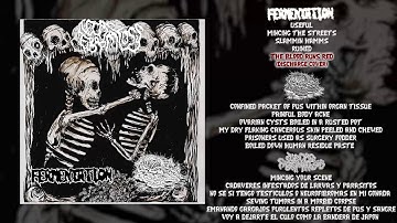 Fermentation/Botched Anastomosis J-Pouch/Necrofibromatosis - 3way split FULL ALBUM (2018-Mincegore)