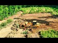 Awesome Progress Clearing land on our farm!