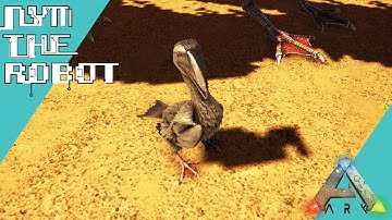 Ichthyornis Taming and Breeding Ark Survival Evolved