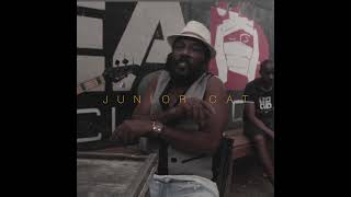 Junior Cat - Sure Shot (Music Video) Promo #shorts