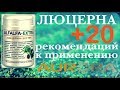 Люцерна 20 рекомендаций к применению