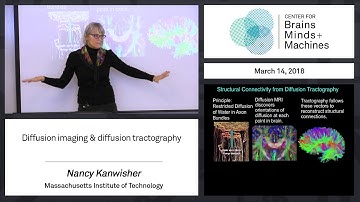 8.2 - Diffusion imaging & diffusion tractography
