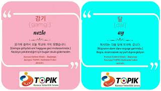 Sesli Korece Kelime 감기 Nezle, 달 Ay Okuma Alıştırması