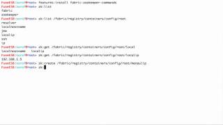 Accessing Zookeeper using the Fabric shell
