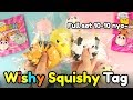 Wishy Squishy Tag ala Heri Merry!