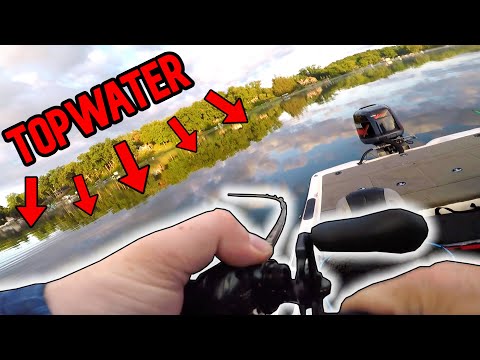 INSANE Topwater Bass Fishing! (Crazy Summer Schooling Fish)