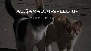 Sibel Bilgiç-Alışamadım (Speed Up) Resimi