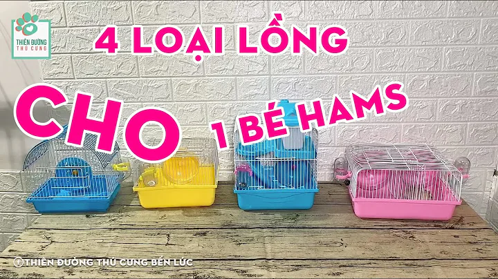 Giới Thiệu Các Loại Lồng Nuôi Hamster 1 Bé | Thiên Đường Thú Cưng #5