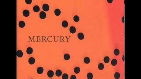 Curlew - Call