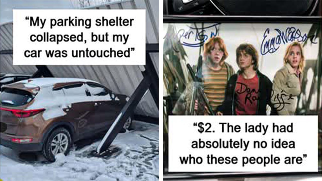 Unbelievable Photos Taken the Instant Luck Struck Just Right