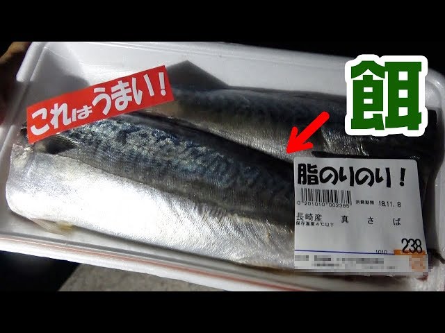 爆釣 スーパーのサバの切り身で釣りしたら Youtube