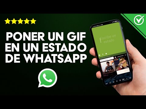 ¿Cómo Poner un GIF en el Estado de WhatsApp? - Desde la Aplicación y la Galería