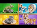 We Built a House For Pets | Funny Challenges by Mega DO