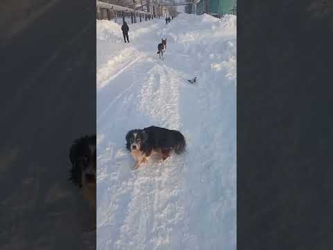 После бурана. Друганы