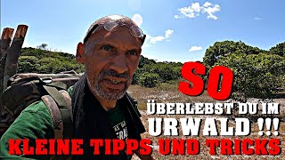 Überleben im Urwald - Tipps und Tricks!