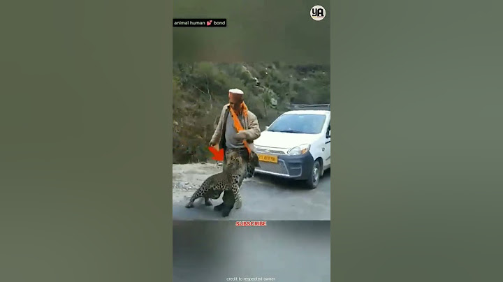 मां तेंदुए 🐆 ने समझदारी से बचाई अपने बच्चे👶 की जान। #shorts #yelloalmond