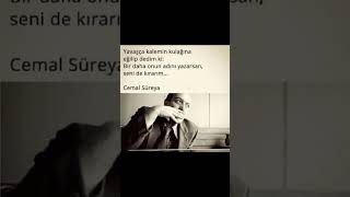 Yavaşça Kalemin Kulağına Eğilip Dedim Ki:bir Daha Onun Adını Yazarsan, Seni De Kırarım Resimi